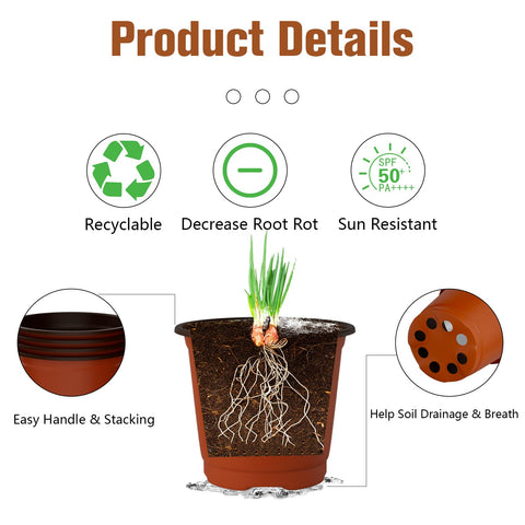OZOSHINE succulent propagation pot provides safe starter environment.
