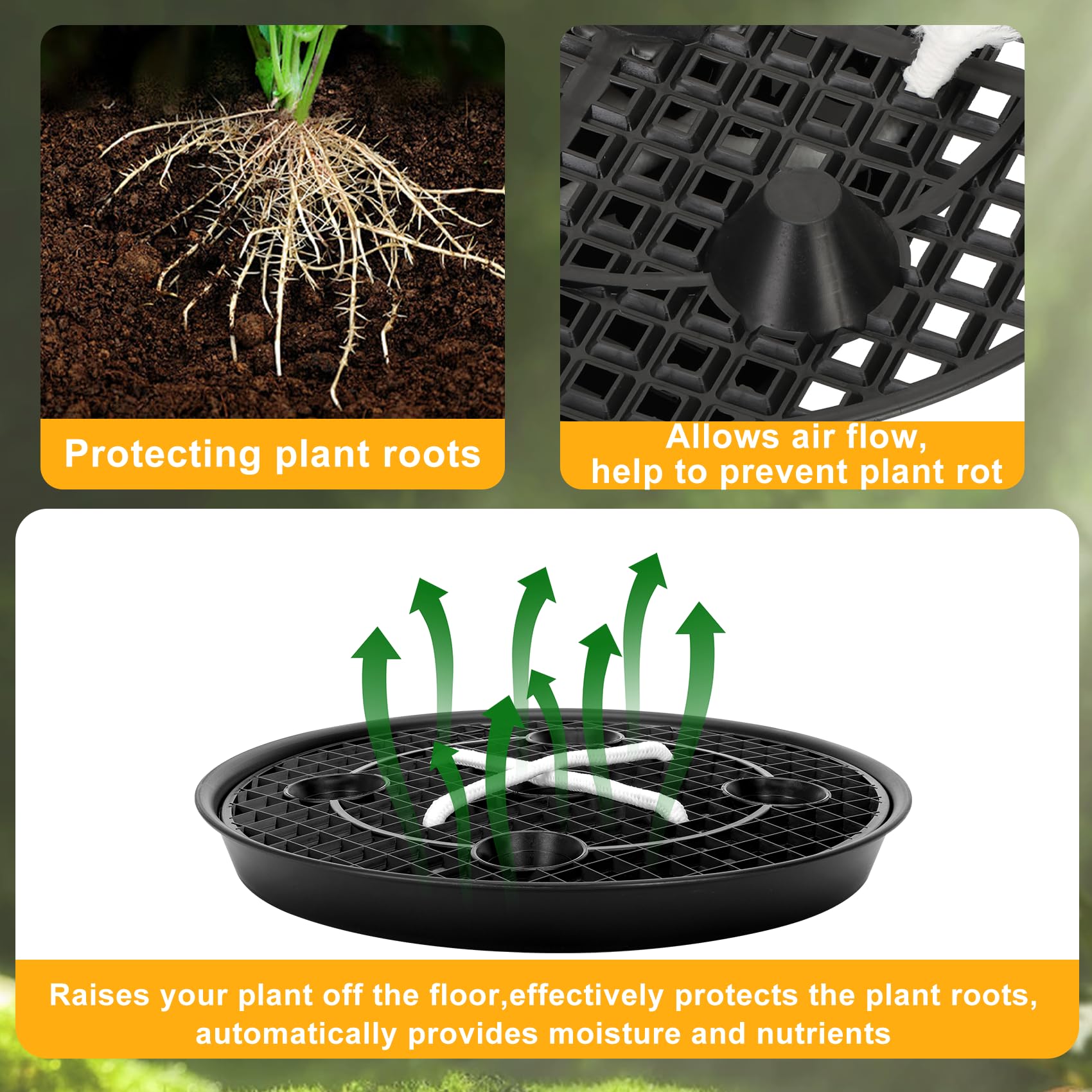 P Polerden air-circulation grid promotes healthy root air exchange and reduces rot risk.