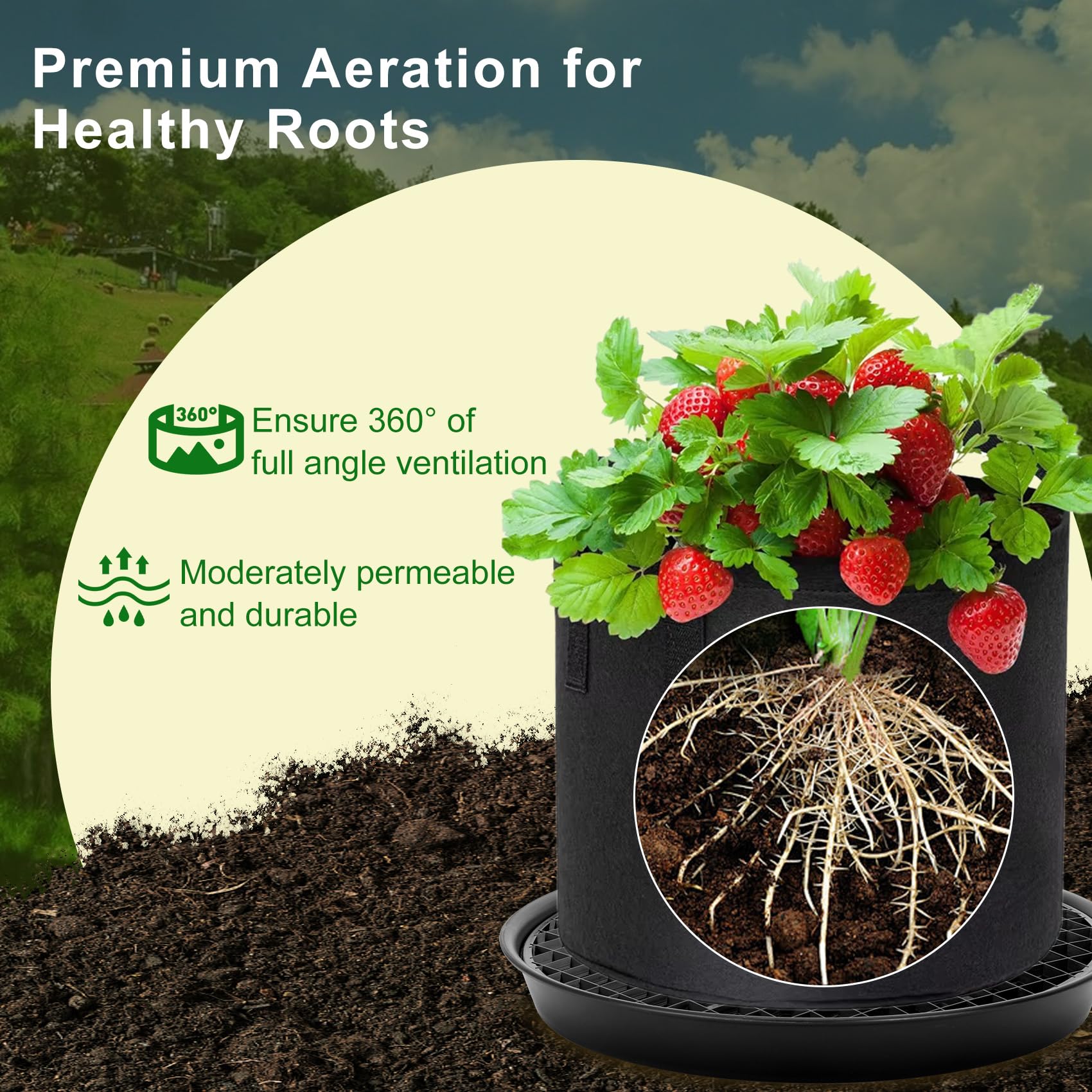 P Polerden auto-irrigation tray for fabric planters keeps roots evenly moist.