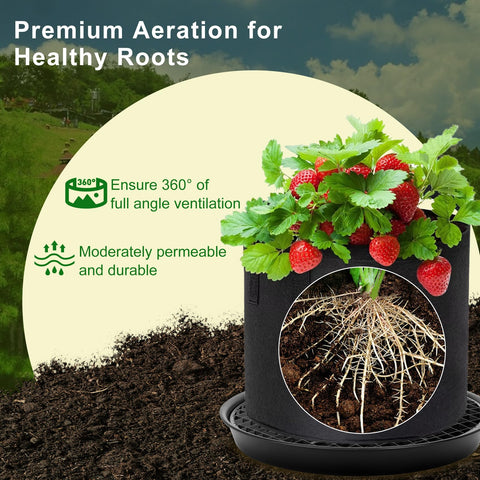 P Polerden auto-irrigation tray for fabric planters keeps roots evenly moist.