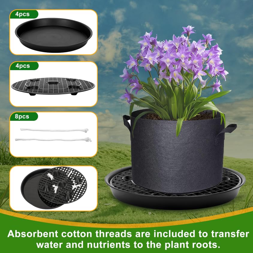 P Polerden lift design keeps roots off the ground for better drainage.