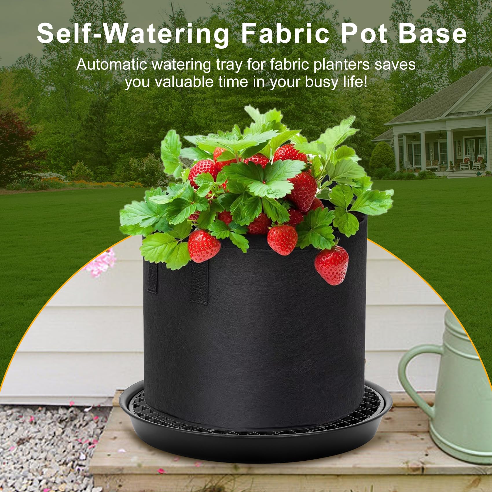 P Polerden 3-year warranty provides dependable post-purchase support.