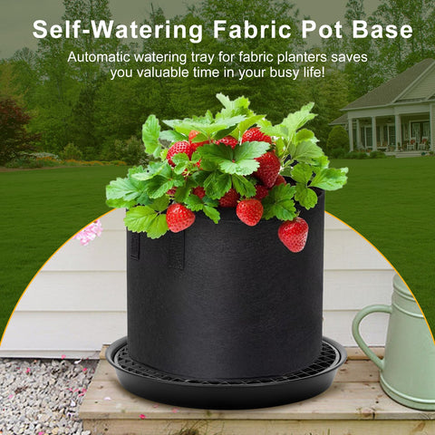 P Polerden 3-year warranty provides dependable post-purchase support.