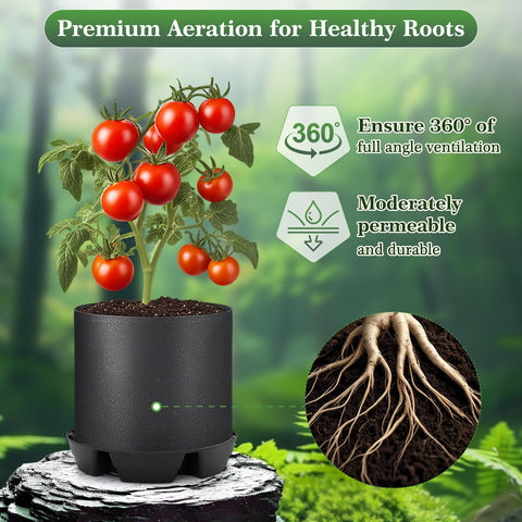 P Polerden four-pack package ready for multiple planters