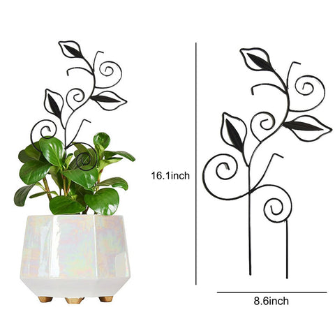 Paalee metal plant trellis with rust-resistant finish for indoor or outdoor use