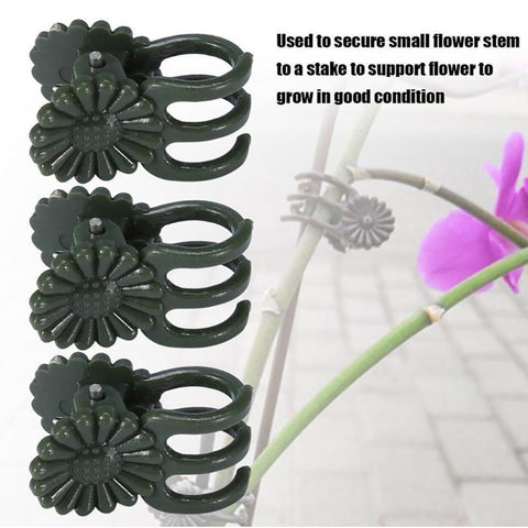 Paalee six plant clips included to guide vines.