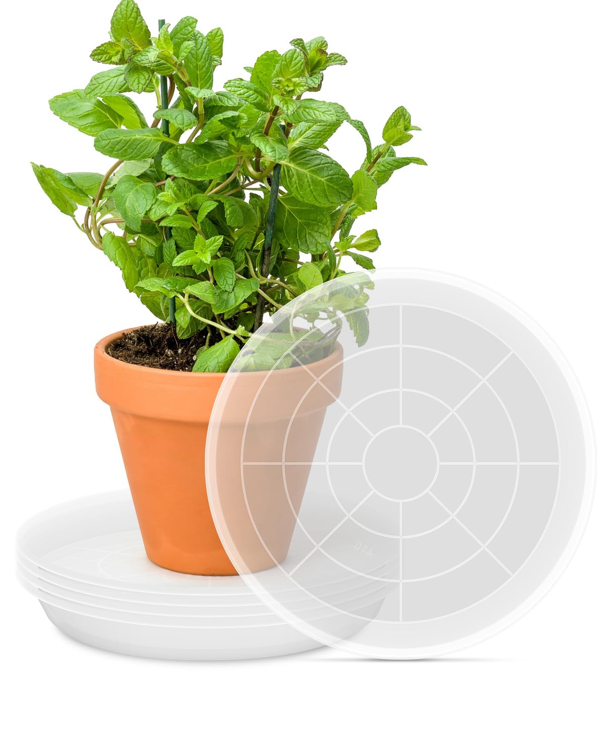 PACETAP 16-inch plant saucer base diameter for sturdy footprint.