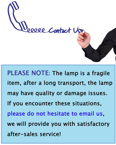 PACETAP 41050 bulb for DT1100, front view, reliable four-month replacement