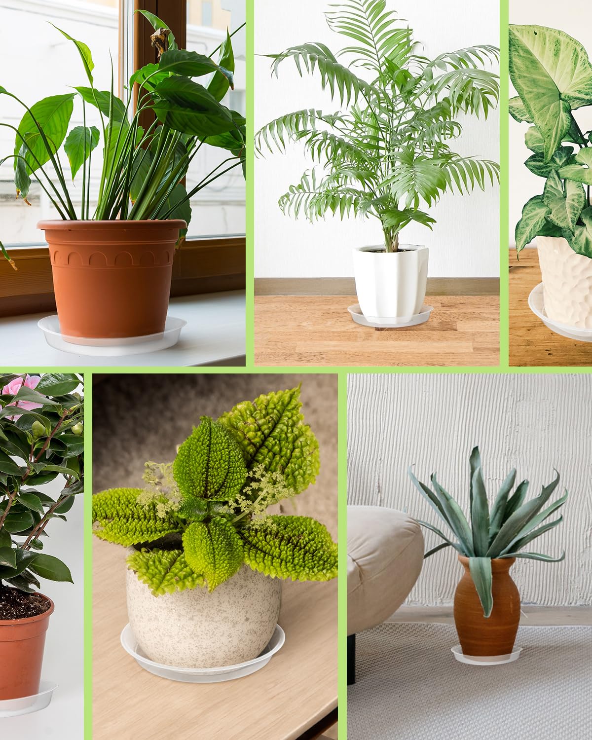 PACETAP five-pack plant saucers for multiple pots.