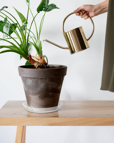 PACETAP indoor outdoor plant saucer protects floors from spills.