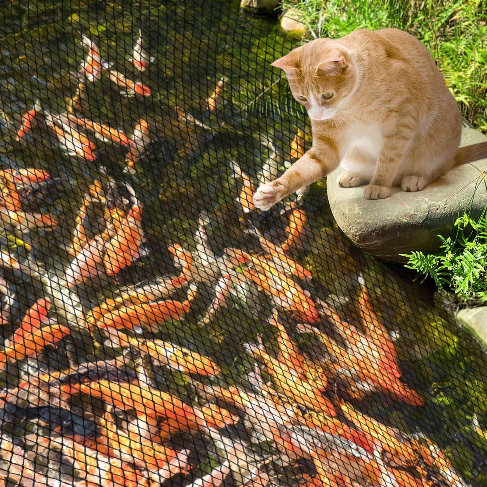 Koi and goldfish protection net guards against birds and predators
