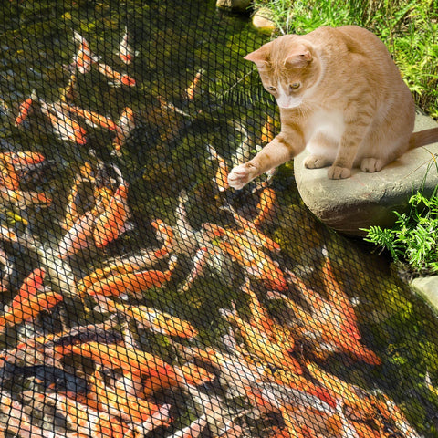 Koi and goldfish protection net guards against birds and predators