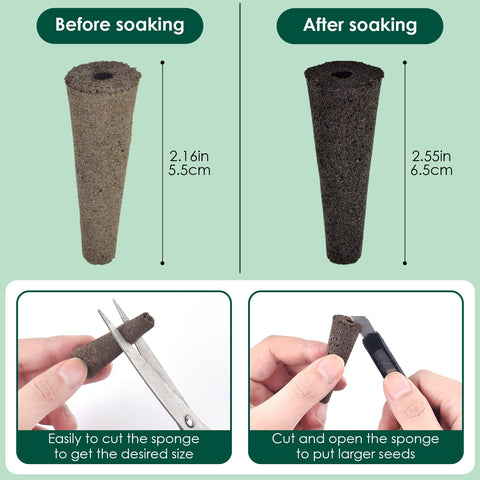 PACETAP natural Canadian peat grow sponge for germination
