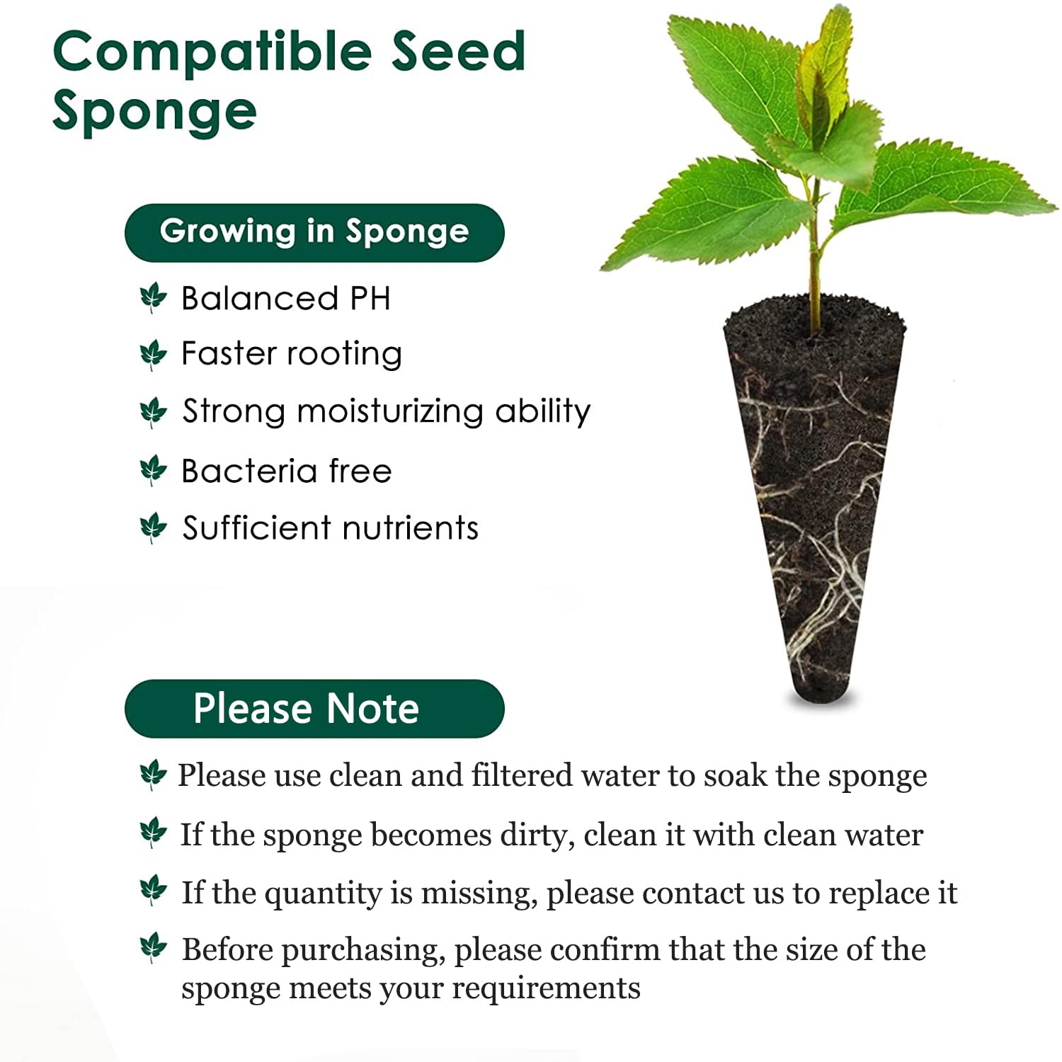Natural Canadian peat growth medium by PACETAP for clean root development.