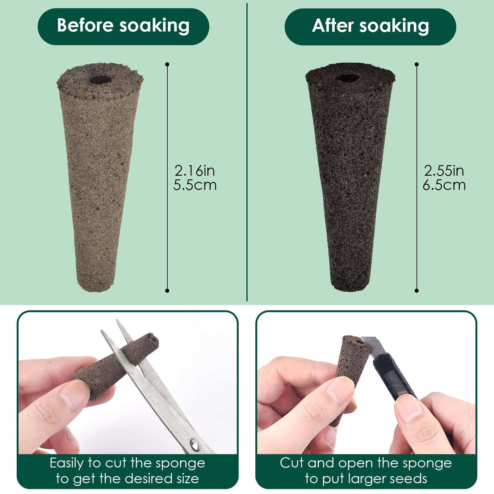 PACETAP peat-based germination sponge using natural Canadian peat for clean, healthy root development