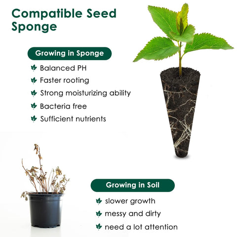 PACETAP sponge end with seed placement hole