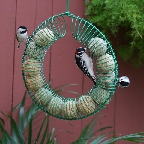Pacific Bird suet balls with whole insects and hot peppers attract woodpeckers.