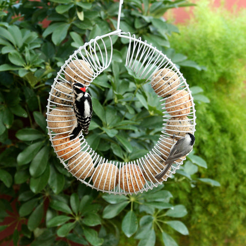 Pacific Bird suet ball attracting woodpeckers in a feeder.