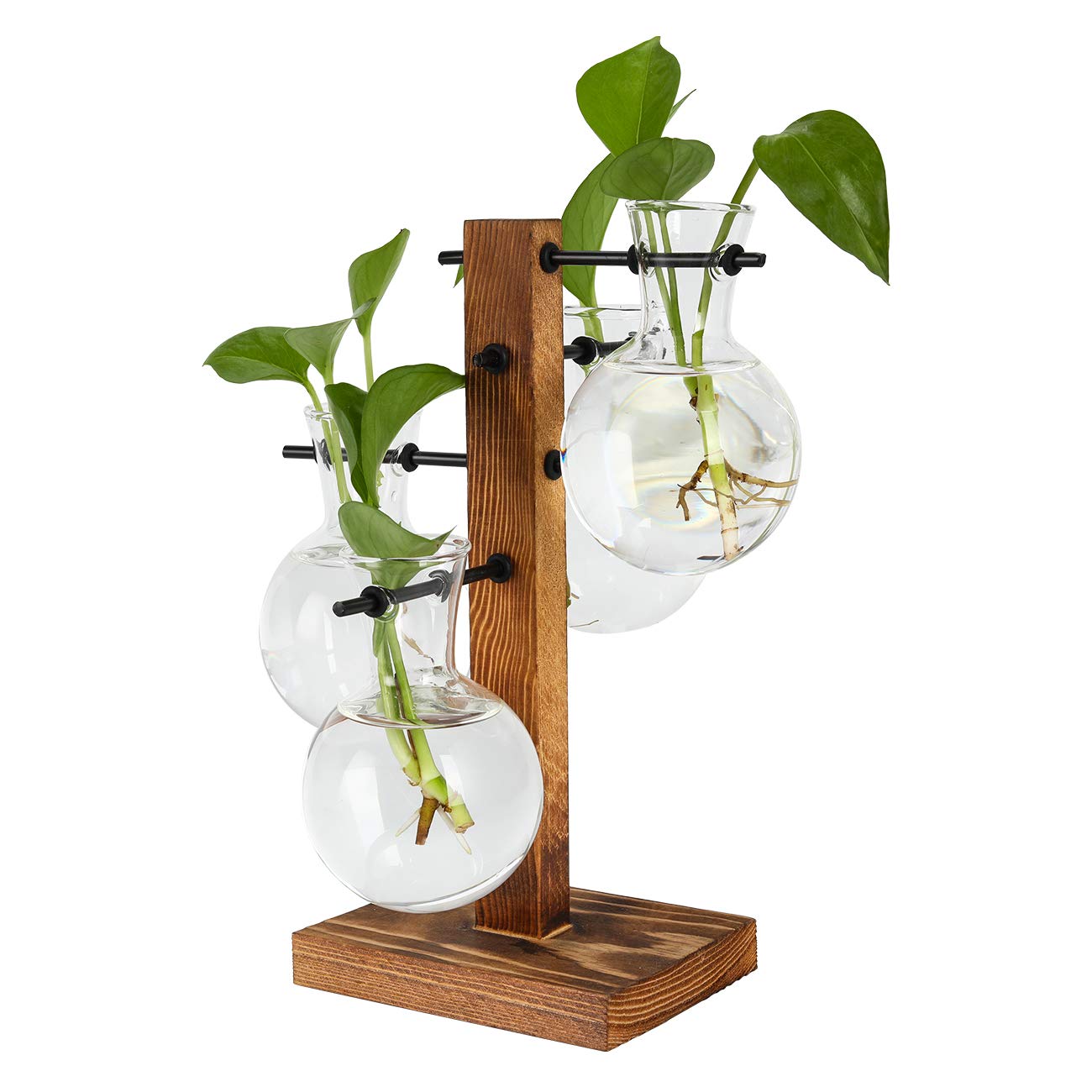 PAG Bulb Glass Vase four-pack for versatile plant arrangements.