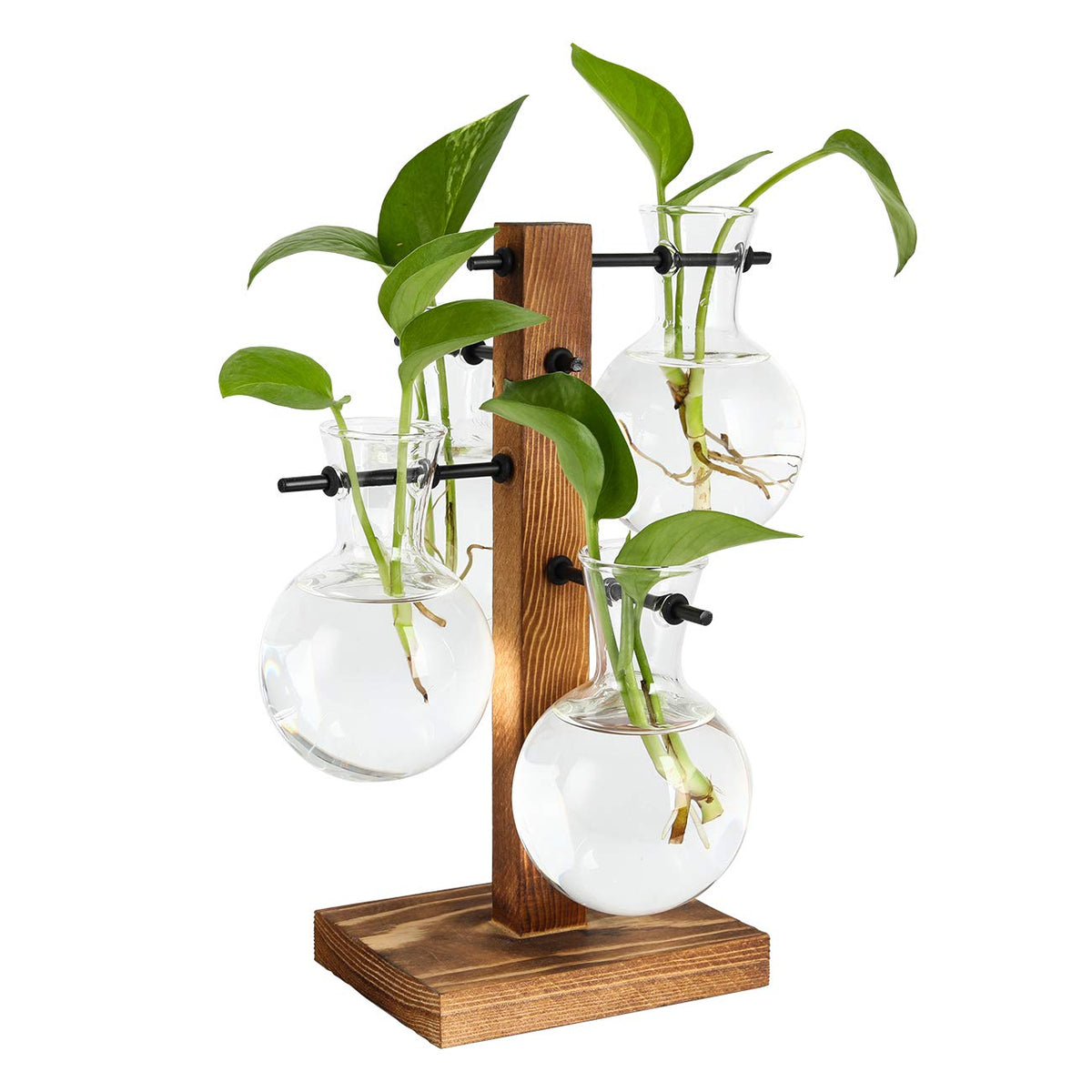 PAG Planter Terrariums Kit on a desk ready for hydroponic display.