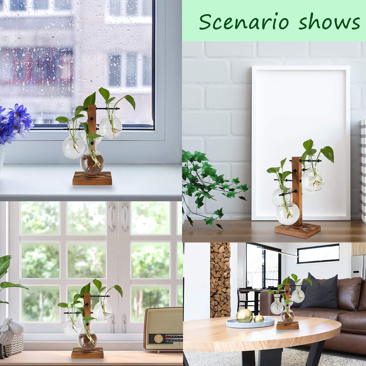 PAG Glass vase with colored water creates vibrant decor accents.