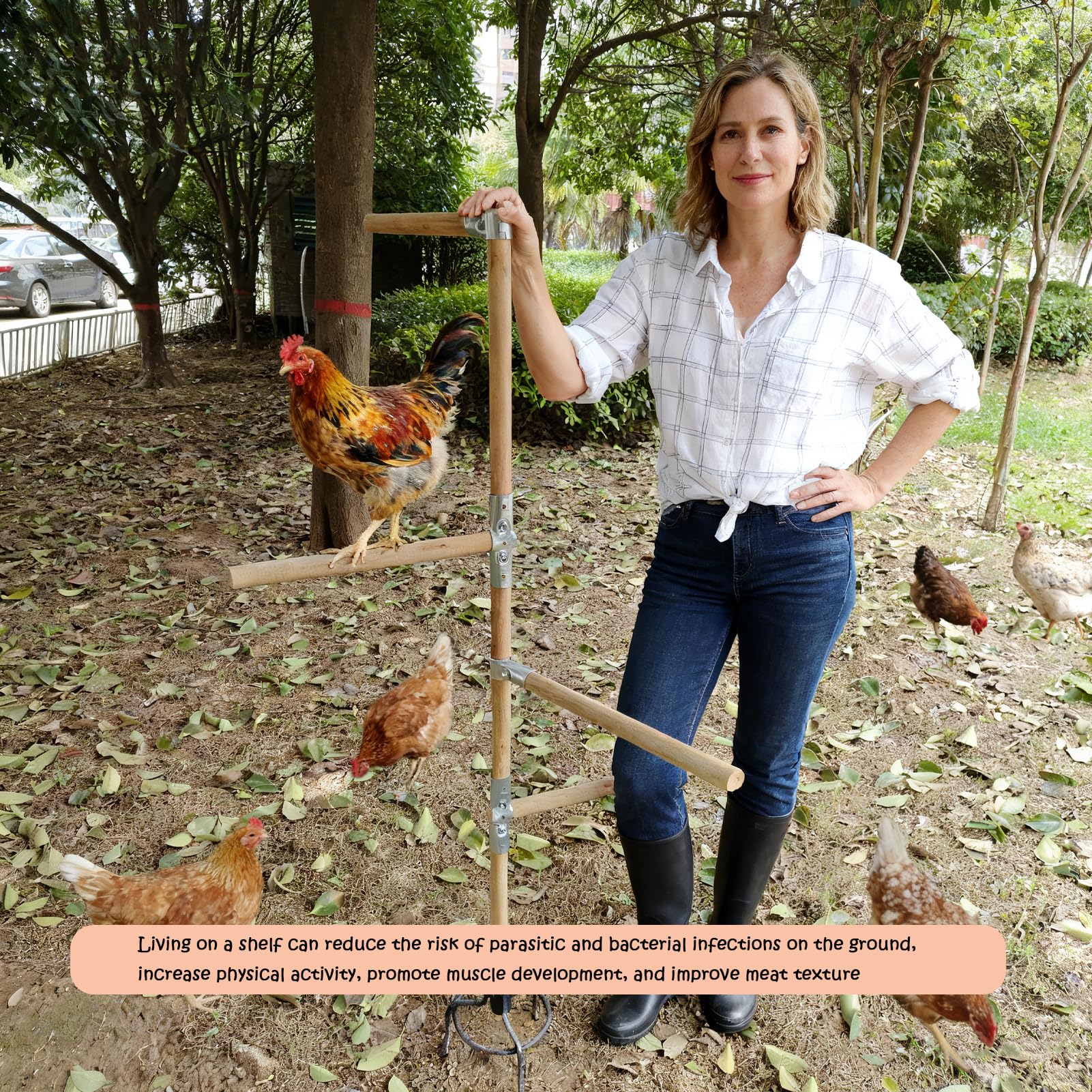 Paiaojia 3-prong ground stake stabilizes outdoor roosts for resilience.