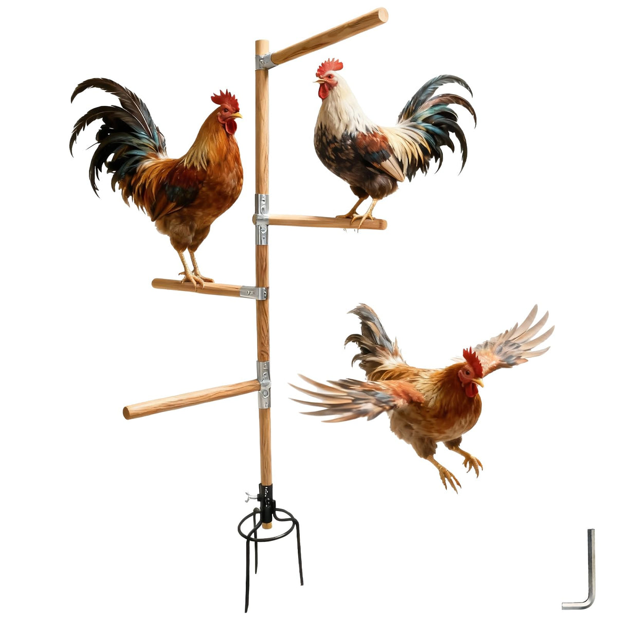 Paiaojia chicken perch in coop 54h height offers sturdy roosting space.