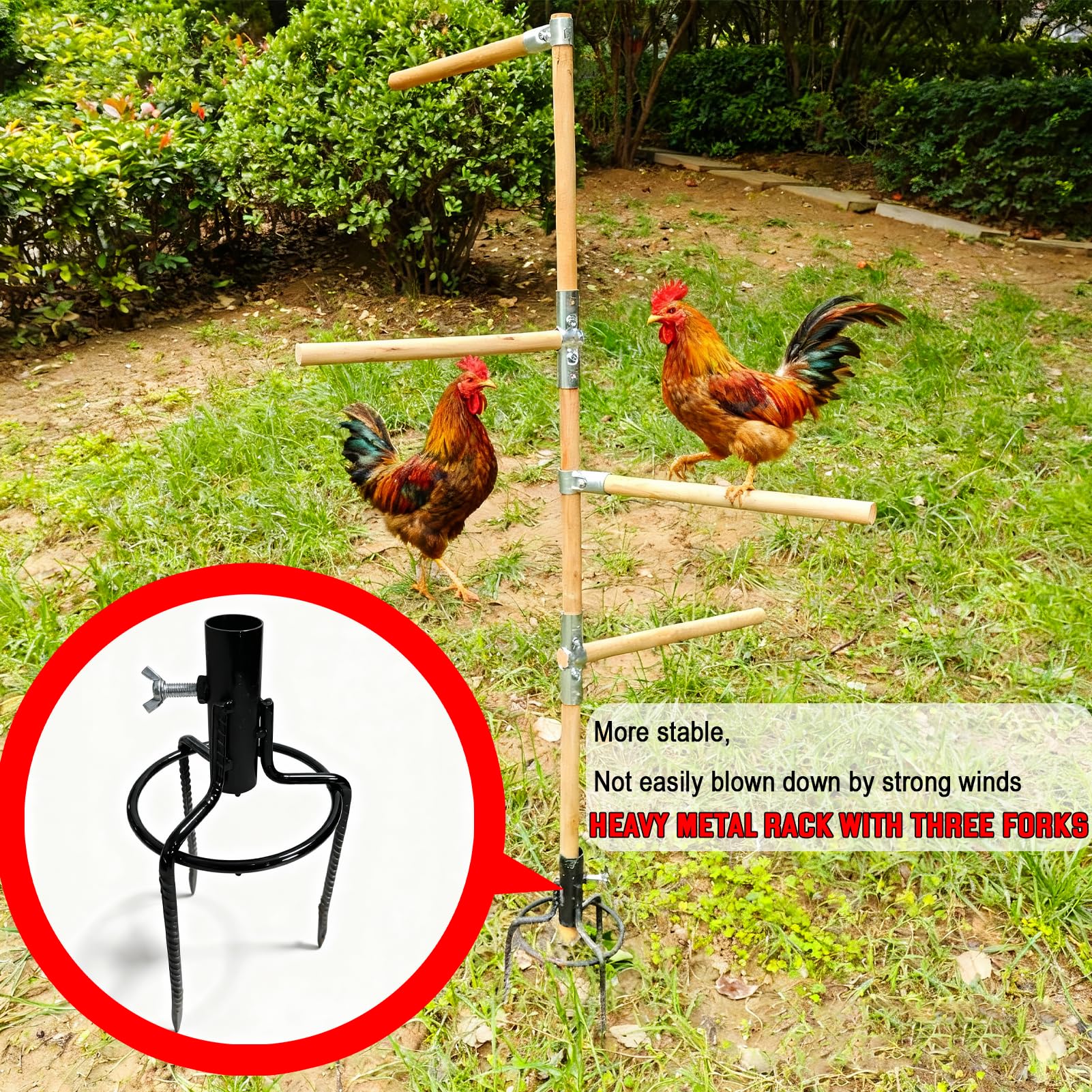 Paiaojia large perch with 14-inch radius safely supports multiple birds.