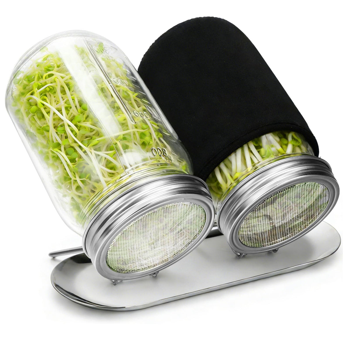 Palksky sprouting kit with glass mason jars for quick home-grown sprouts