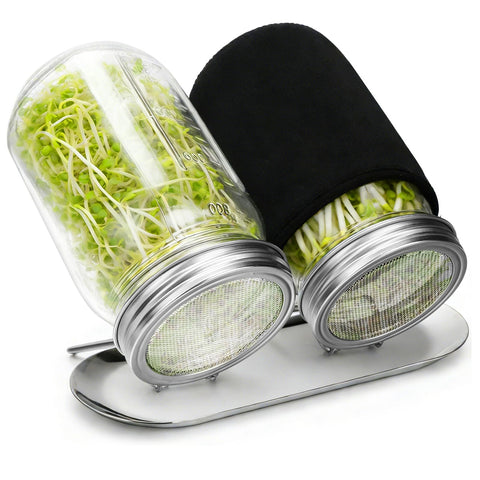 Palksky sprouting kit with glass mason jars for quick home-grown sprouts