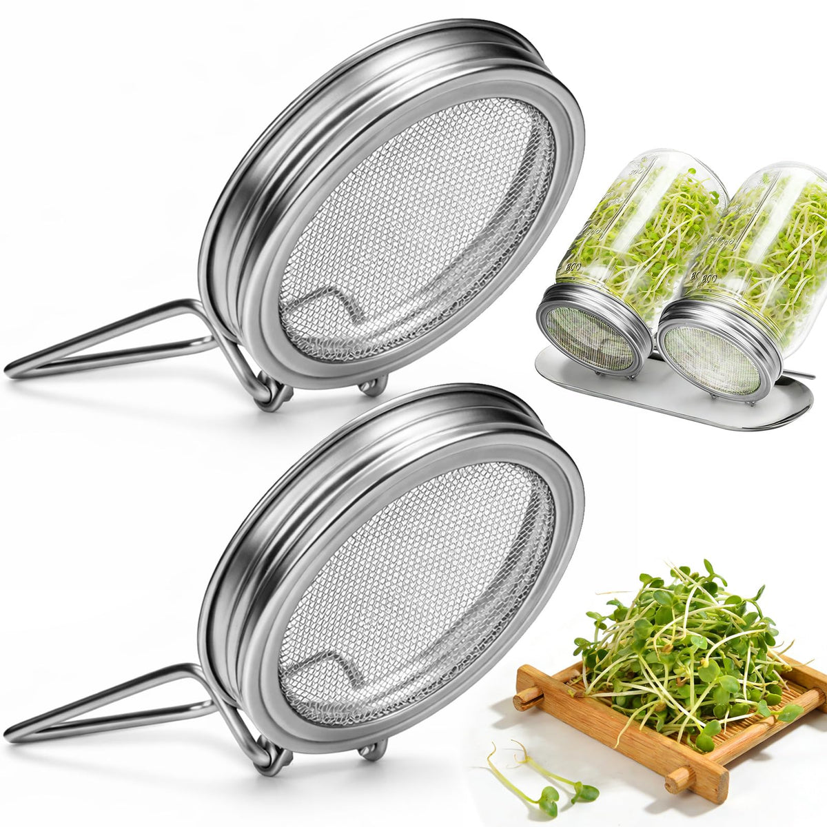 Palksky sprouting lid on wide-mouth jar enables quick, controlled bean sprouts indoors.
