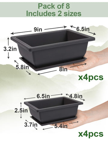 Pamase drainage holes support airflow and healthy root moisture management.