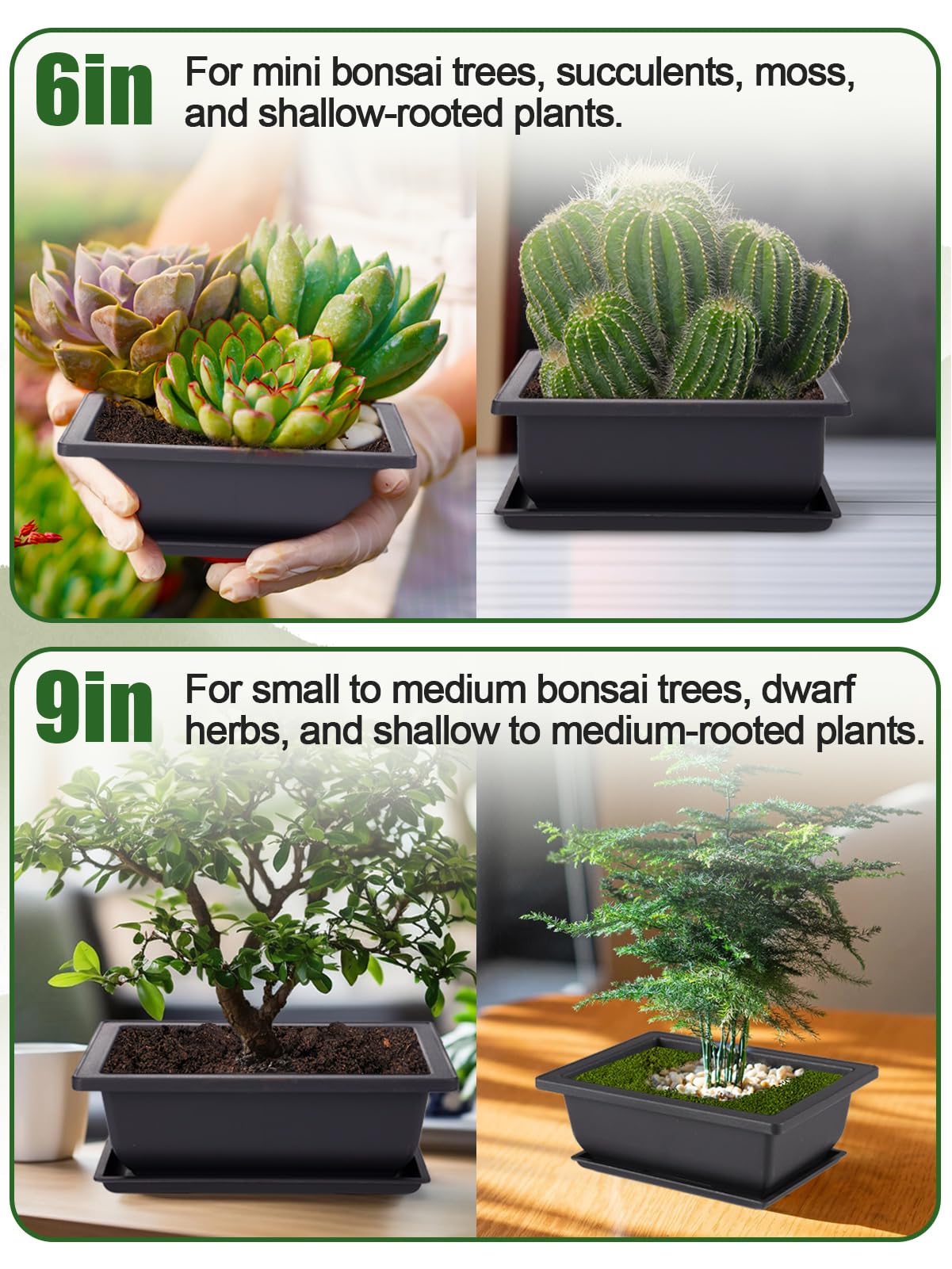 Pamase durable plastic bonsai pot resists impact while remaining lightweight.