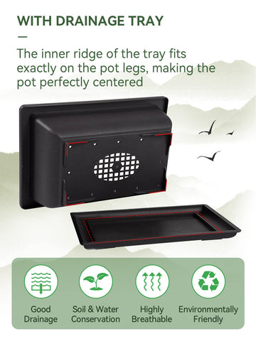 Pamase humidity tray demonstrates water collection for tidy watering.