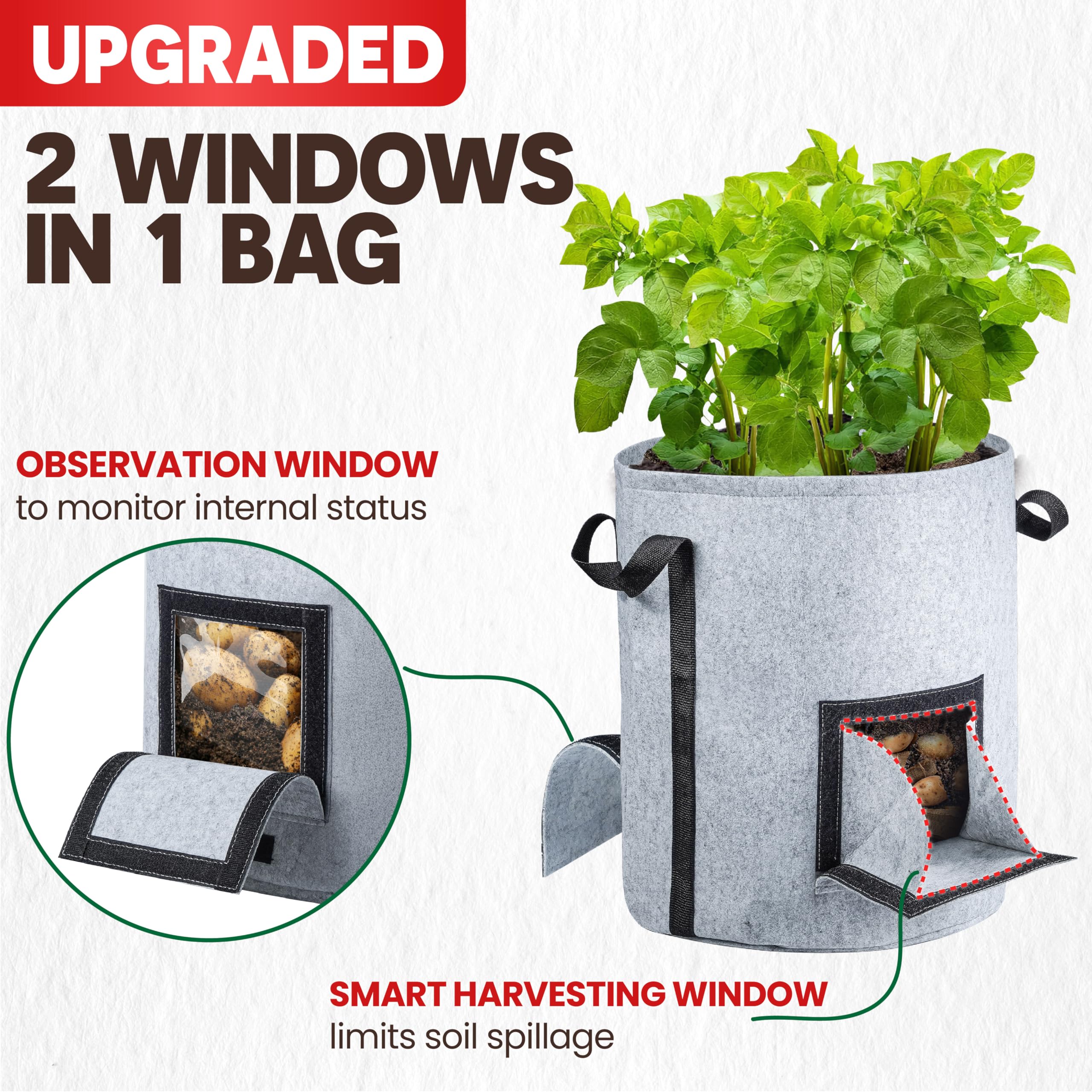 PAMAZY harvest window with bottom-opening door for soil-sparing harvest.