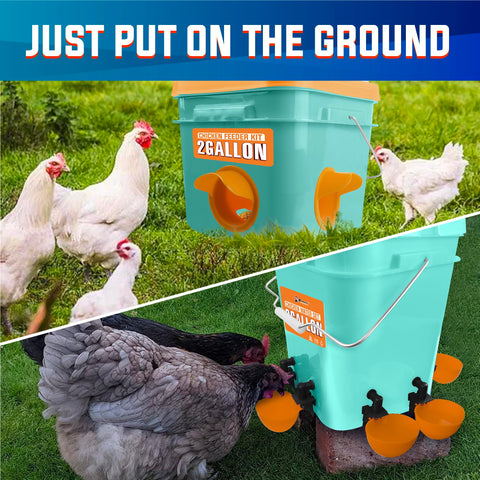 PAMAZY outdoor poultry system keeps feeding tidy and accessible