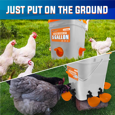 Pamazy outdoor poultry kit suitable for chickens, ducks, and turkeys
