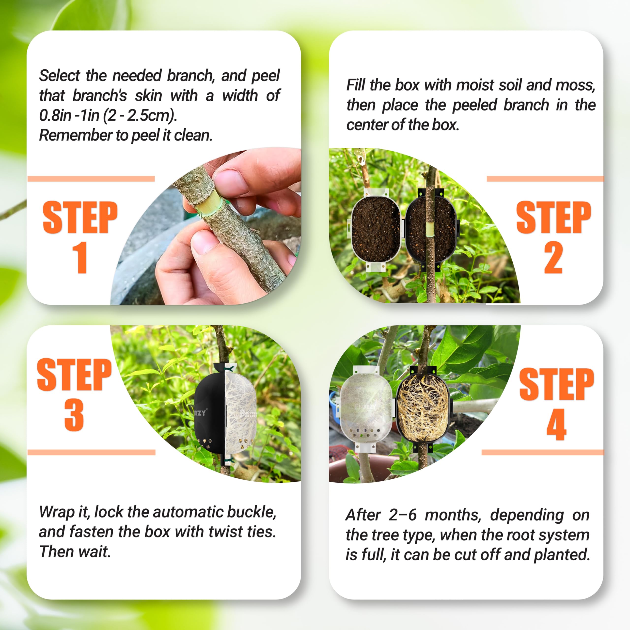 PAMAZY Size M rooting box fits roses, fruit trees, and climbing plants.
