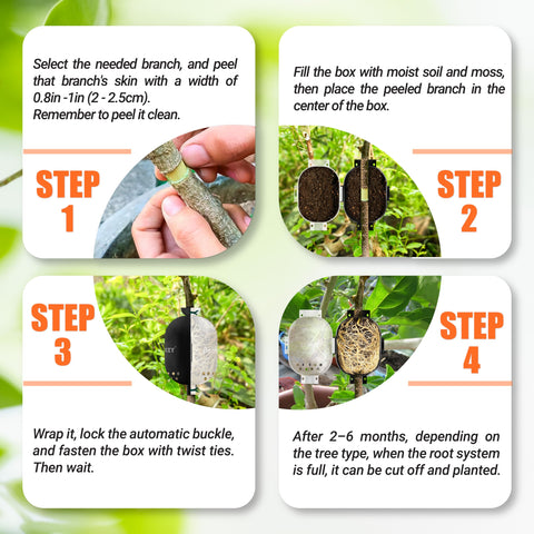 PAMAZY Size M rooting box fits roses, fruit trees, and climbing plants.
