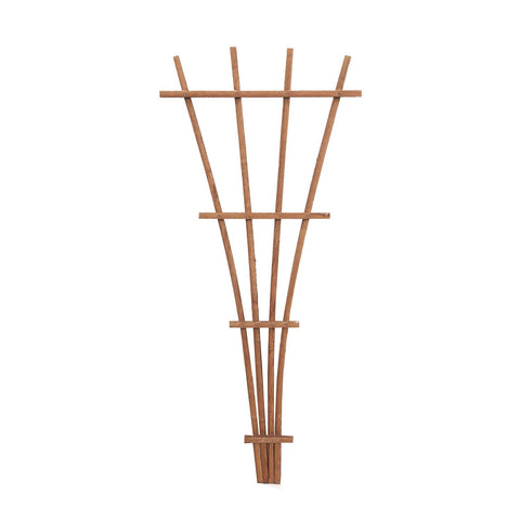 Panacea 83737 48-inch brown wood fan trellis supports climbing plants along a fence.