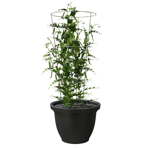 Panacea galvanized garden cage ideal for container gardening setups