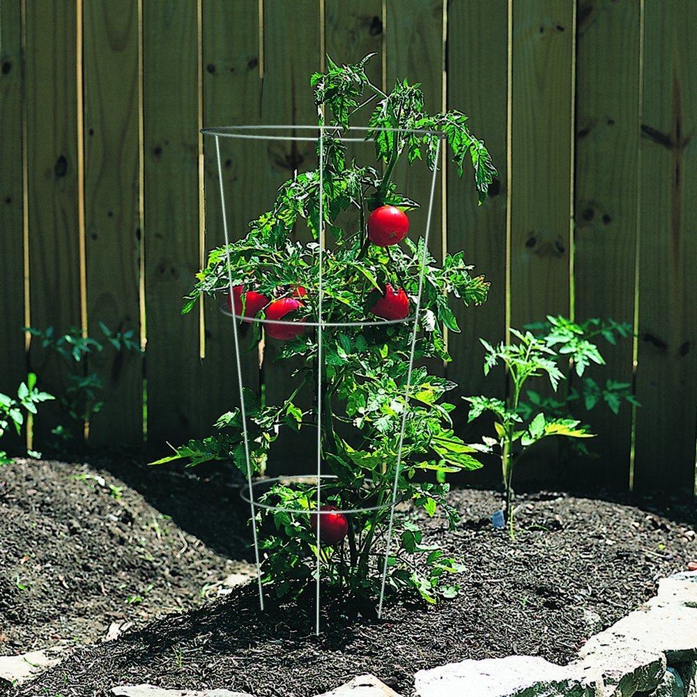 Panacea stackable plant cage shown for compact seasonal storage