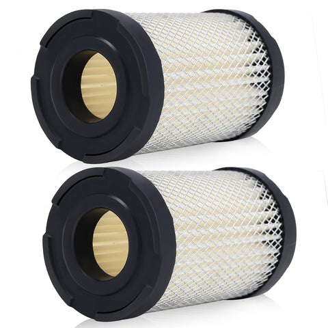 Panari 35066 air filter for Tecumseh 63087A ensuring clean airflow.