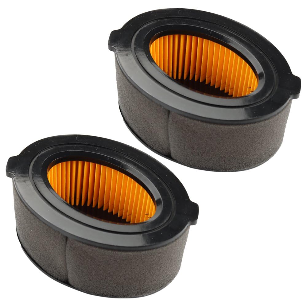 Panari 951-10794 air filter 2-pack for Troy-Bilt ensures clean airflow and easy replacement.