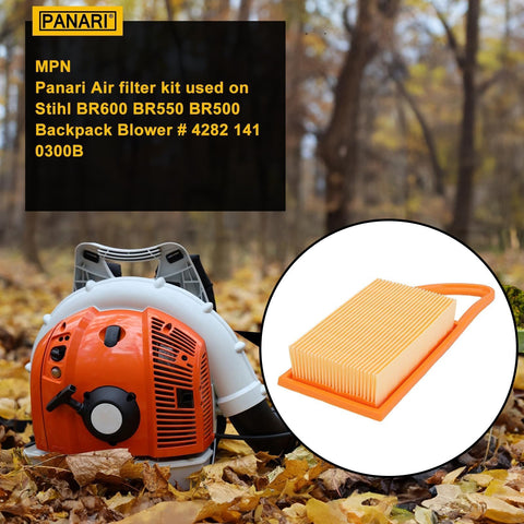 Panari BR600 fuel filter included for steady fuel delivery during use
