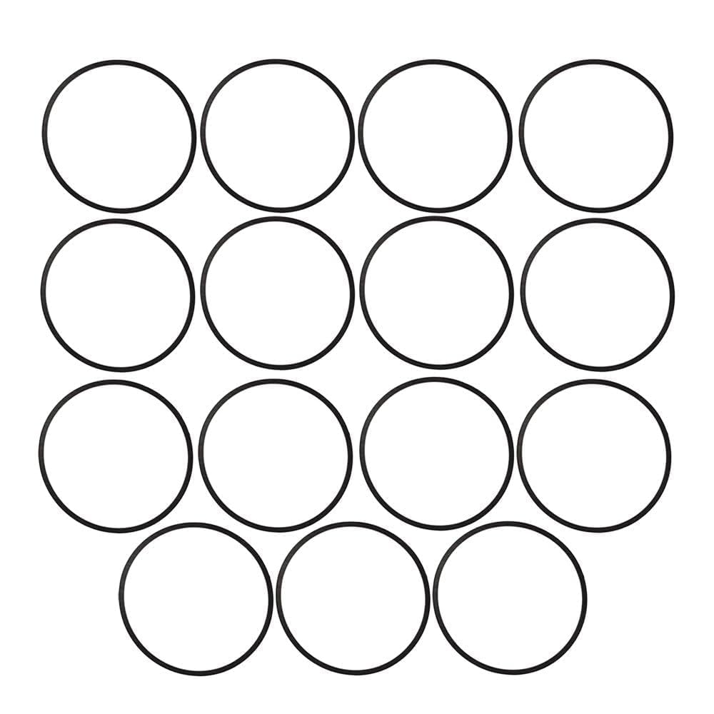 Panari float bowl gasket closeup shows a durable Brigs & Straton seal.