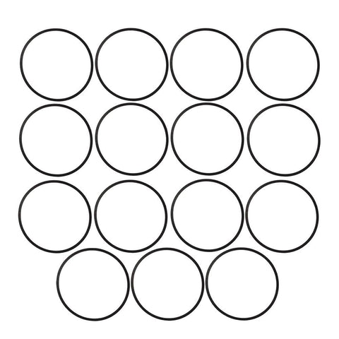 Panari float bowl gasket closeup shows a durable Brigs & Straton seal.