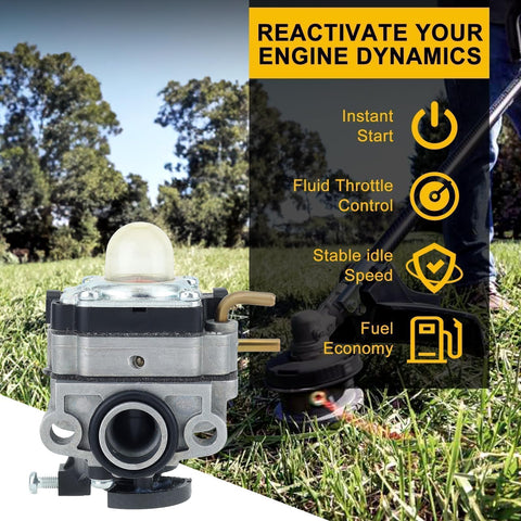Panari Ry253SS carburetor showcases integrated fuel filter component.