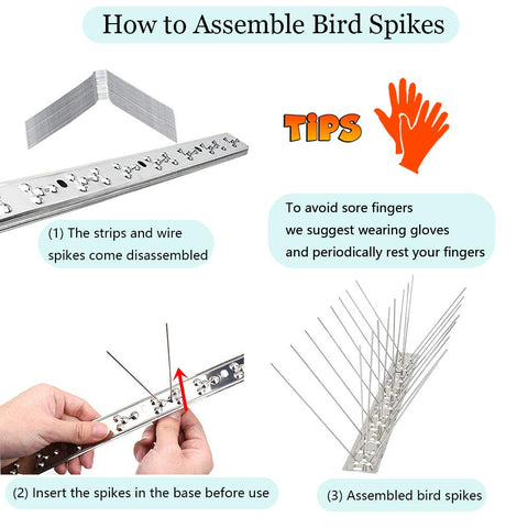 PANGCH bird spikes on fence edge demonstrate unobtrusive protection.