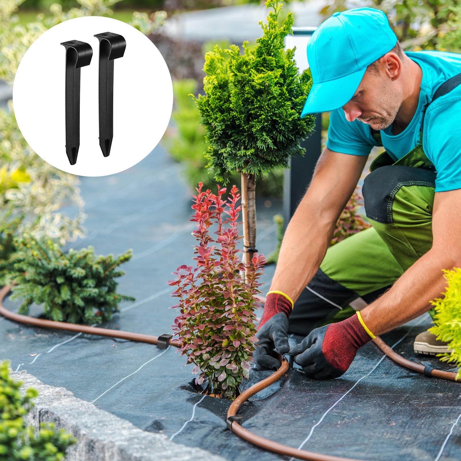 Pangda 100-pack hold-down stakes for efficient irrigation setup across landscapes.